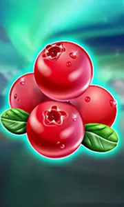 Winterberries